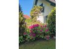 Einfamilienhaus Tarnow - 4 Zimmer, 170 m&sup2;, 390.000&euro; | Angebot:27044423