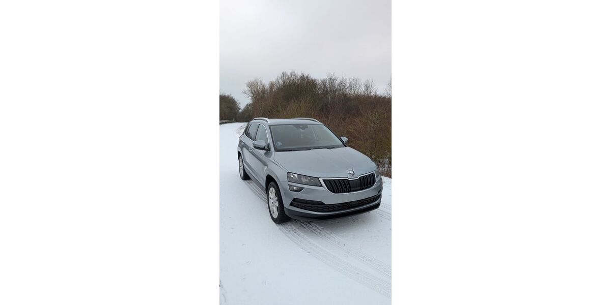 Skoda Karoq 125.000 km 16.800 &euro; Upahl 23936