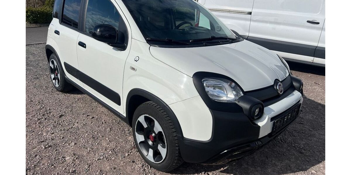 Fiat Panda 109.916 km 6.890 &euro; Oschatz 04758