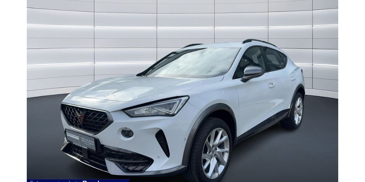 Cupra Formentor 73.550 km 24.990 &euro; Bamberg 96052