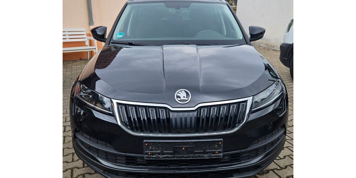 Skoda Karoq 59.735 km 20.500 &euro; Worms 67550
