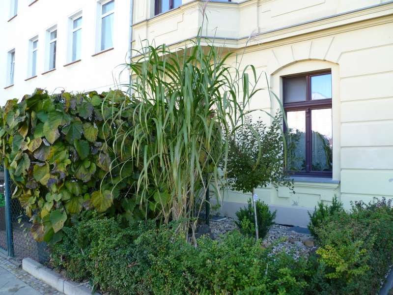 Wohnung zum Kaufen in Magdeburg 174.000 € 109.4 m²
