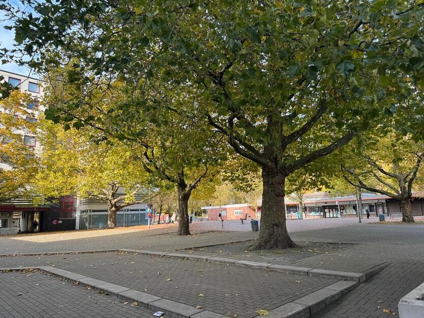 Zentral gelegene 1 Zimmer Wohnung zimmer