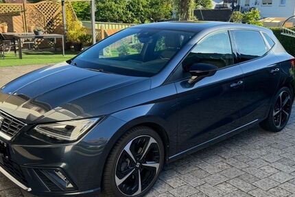 Seat Ibiza 100.000 km 13.100 &euro; Gimbweiler 55767