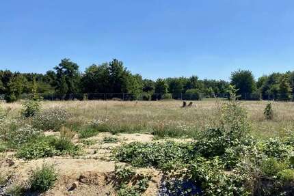 Grundstück Bitterfeld-Wolfen Wolfen - 78.000&euro; | Angebot:27467793