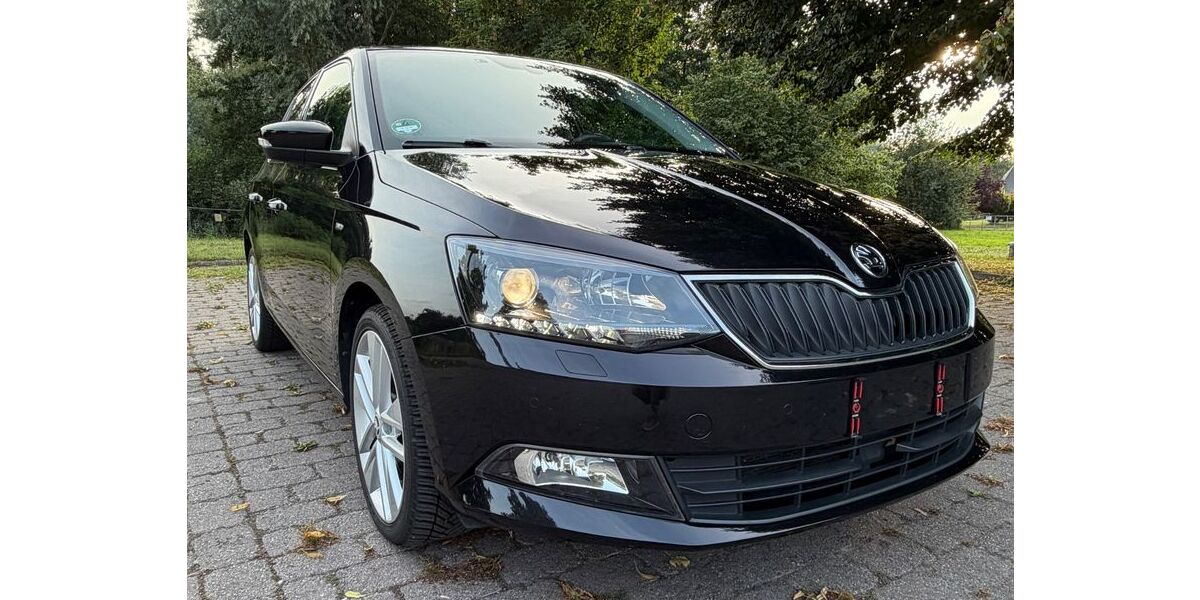 Skoda Fabia 85.700 km 13.400 &euro; Ritterhude 27721