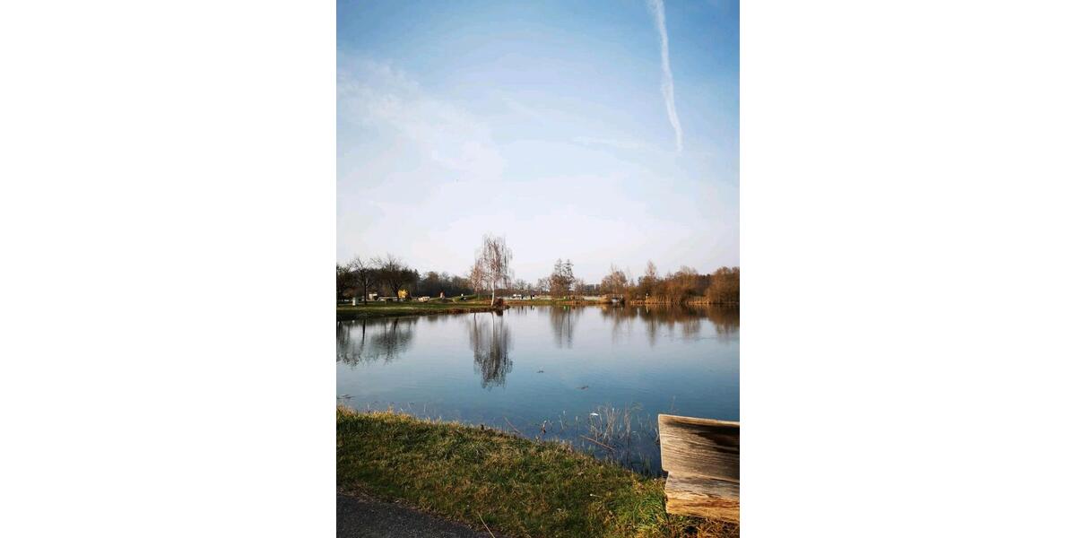 Einfamilienhaus Friesenheim - 3 Zimmer, 55 m&sup2;, 85.000&euro; | Angebot:25421356