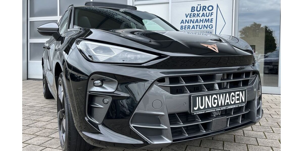 Cupra Terramar 15.000 km 39.870 &euro; Singen 78224