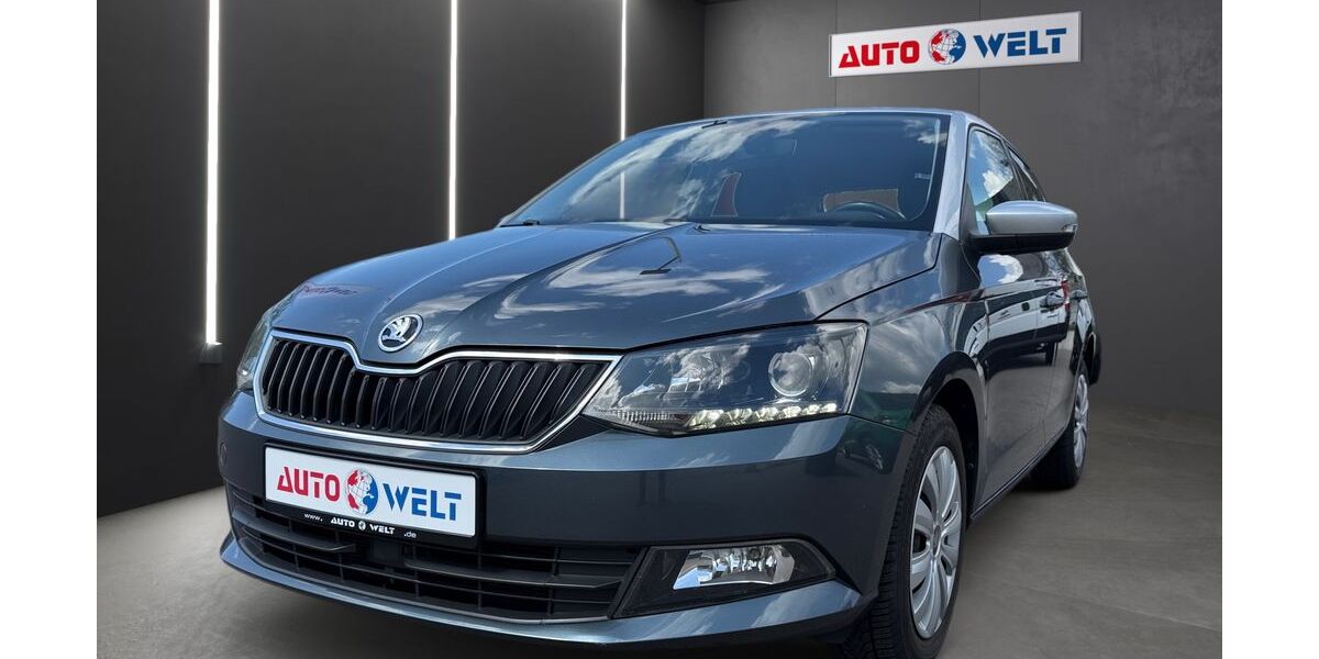 Skoda Fabia 113.513 km 7.990 &euro; Sandersdorf Brehna 06796