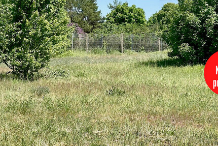 HORN IMMOBILIEN ++ Torgelow Grundstück in guter Lage mit 1.600 m² - Grundstück Torgelow | Angebot:21568464