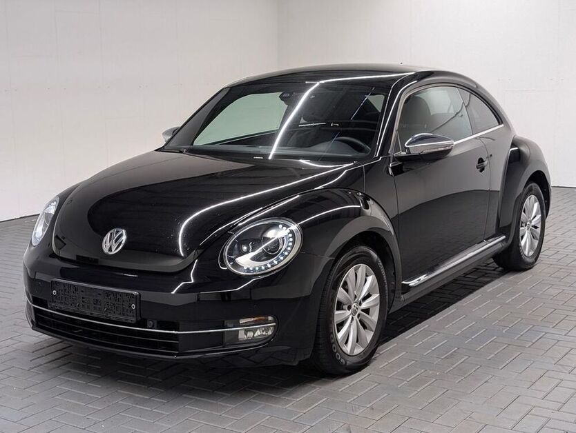 Beetle