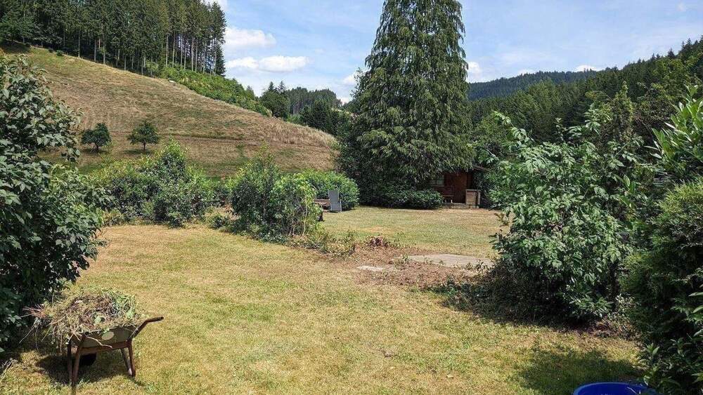 Gewerbeobjekt Bad Rippoldsau-Schapbach Schapbach - 500.000&euro; | Angebot:26230994