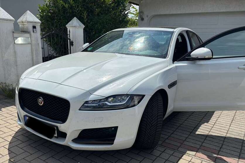 XF