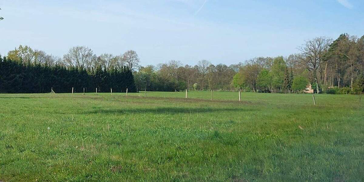 Doppelhaushälfte Neuenkirchen Grauen - 5 Zimmer, 200 m&sup2;, 299.000&euro; | Angebot:26345169