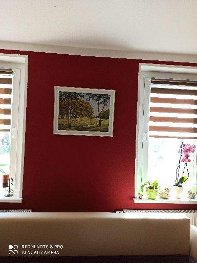 Gewerbeobjekt Ostrau Münchhof - 250&euro; | Angebot:25869387