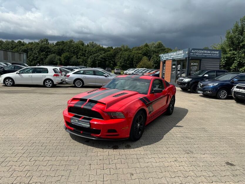 Mustang