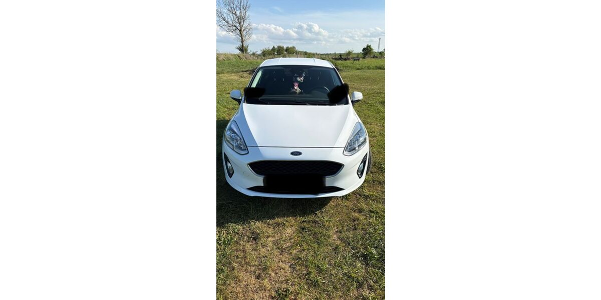 Ford Fiesta 117.000 km 10.500 &euro; Gremersdorf 23758