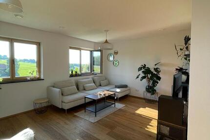 4 Zimmer DG Wohnung zu vermieten 4 zimmer