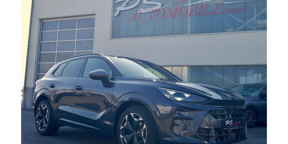 Cupra Terramar 16.950 km 34.988 &euro; Wülfershausen 97618