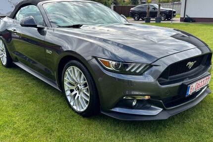 Ford Mustang 35.500 km 35.900 &euro; Rüdersdorf-Tasdorf 15562