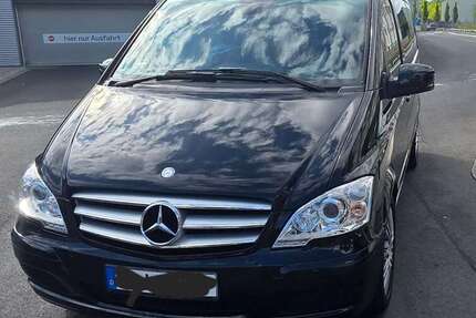 Mercedes Viano