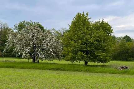 Grundstück Lichtenau - 415.900&euro; | Angebot:24708340