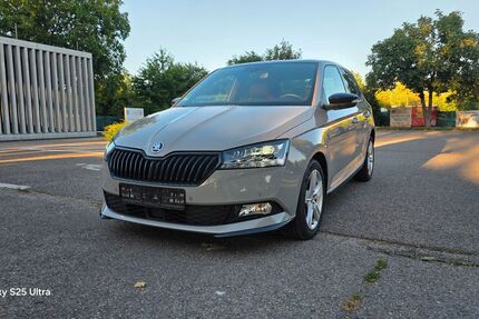 Skoda Fabia 87.317 km 13.900 &euro; Lahr/Schwarzwald 77933