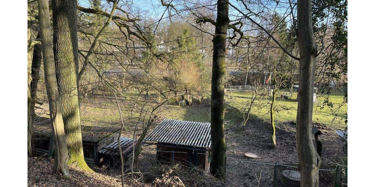 Grundstück Extertal Bösingfeld - 51.000&euro; | Angebot:25729448