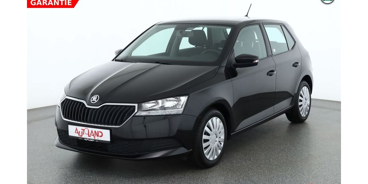 Skoda Fabia 17.423 km 14.990 &euro; Zöllnitz 07751