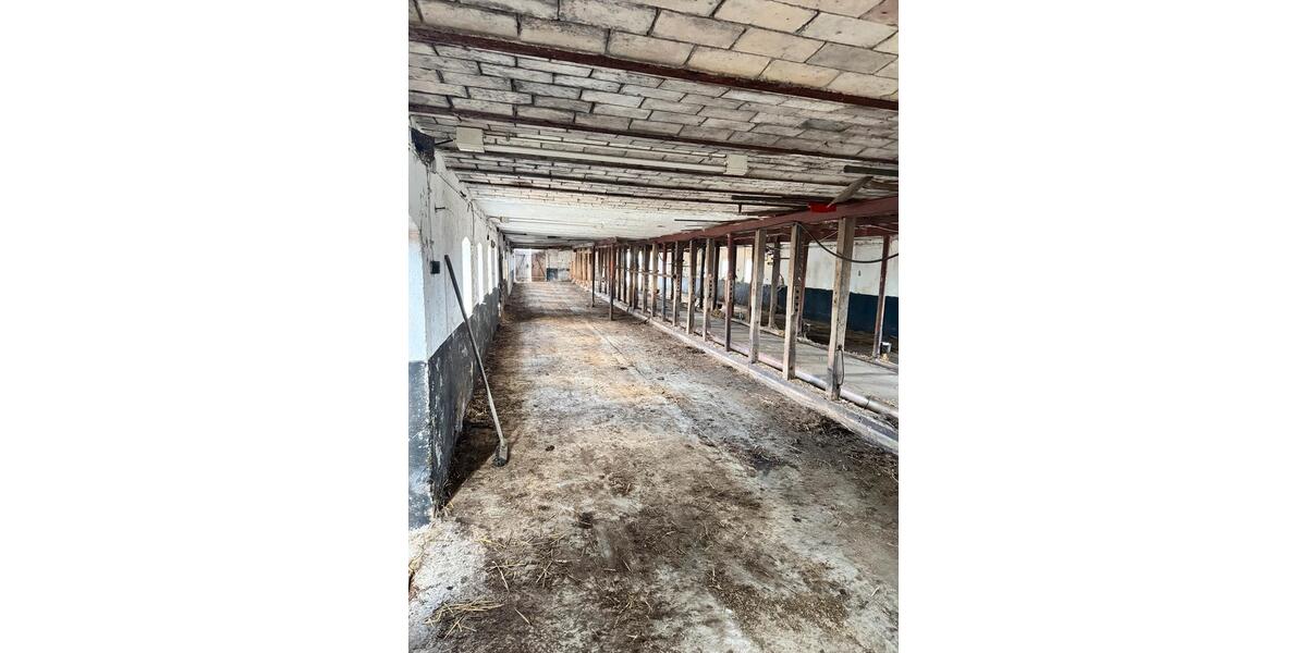 Gewerbeobjekt Flensburg Altstadt - 600&euro; | Angebot:25980668
