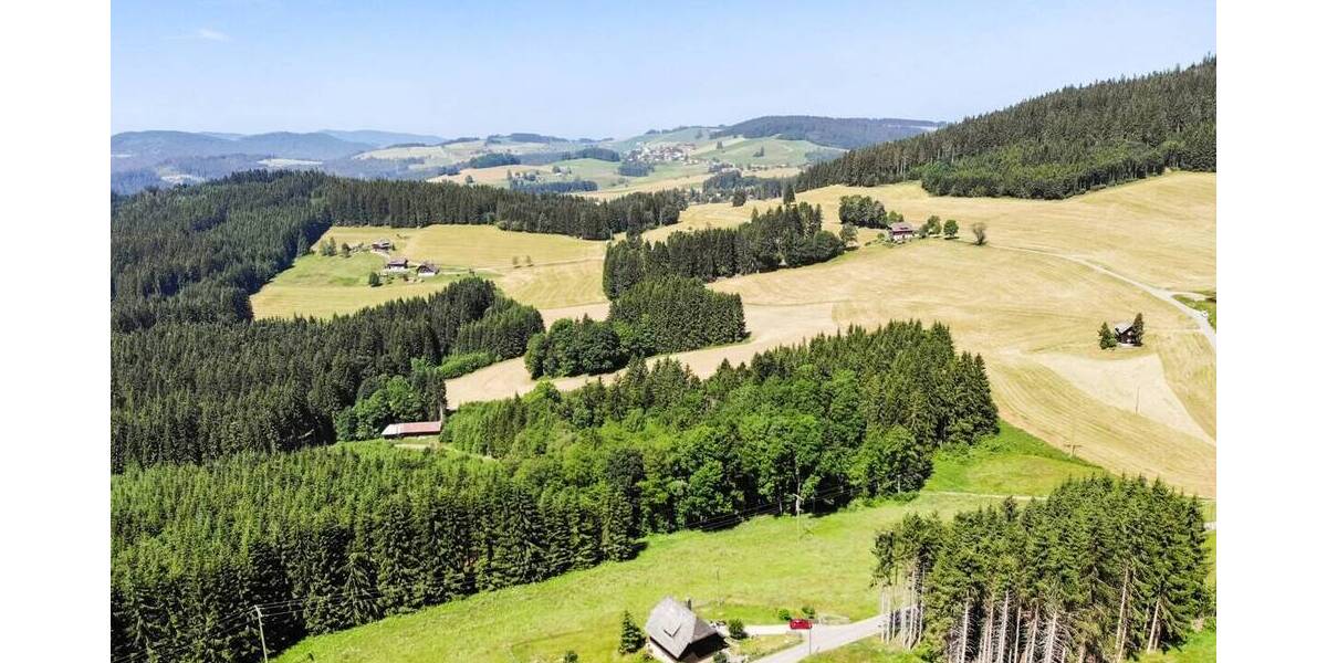 Mehrfamilienhaus, Wohnhaus Titisee-Neustadt Titisee - 3 Zimmer, 101 m&sup2;, 749.000&euro; | Angebot:26274112