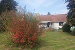Einfamilienhaus Döbeln - 135.000&euro; | Angebot:26699968