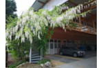 Gewerbehof Neuenburg - Gewerbeobjekt Neuenburg | Angebot:27121315