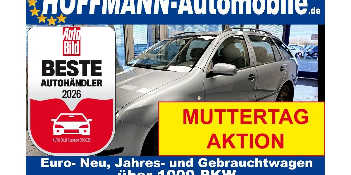 Skoda Fabia 242.272 km 700 &euro; Wolfsburg-Heiligendorf 38444