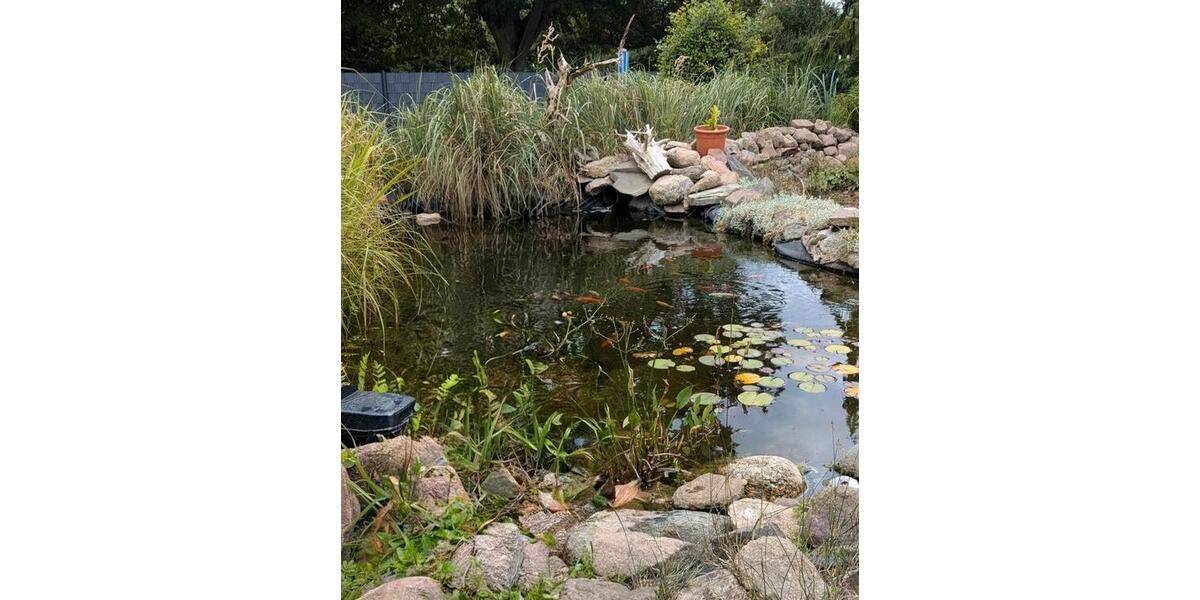 Einfamilienhaus Gnoien - 4 Zimmer, 113 m&sup2;, 235.000&euro; | Angebot:26022365