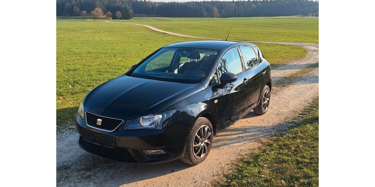 Seat Ibiza 117.400 km 4.990 &euro; Haag i. OB 83527