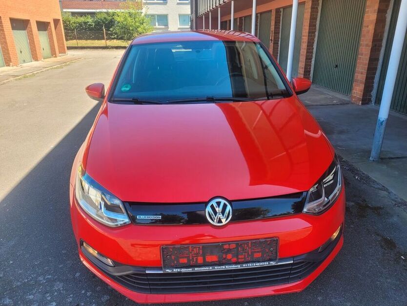 Polo