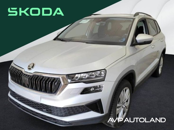 Skoda Karoq 19.506 km 29.460 &euro; Regen 94209
