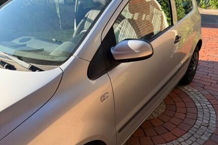 VW Fox