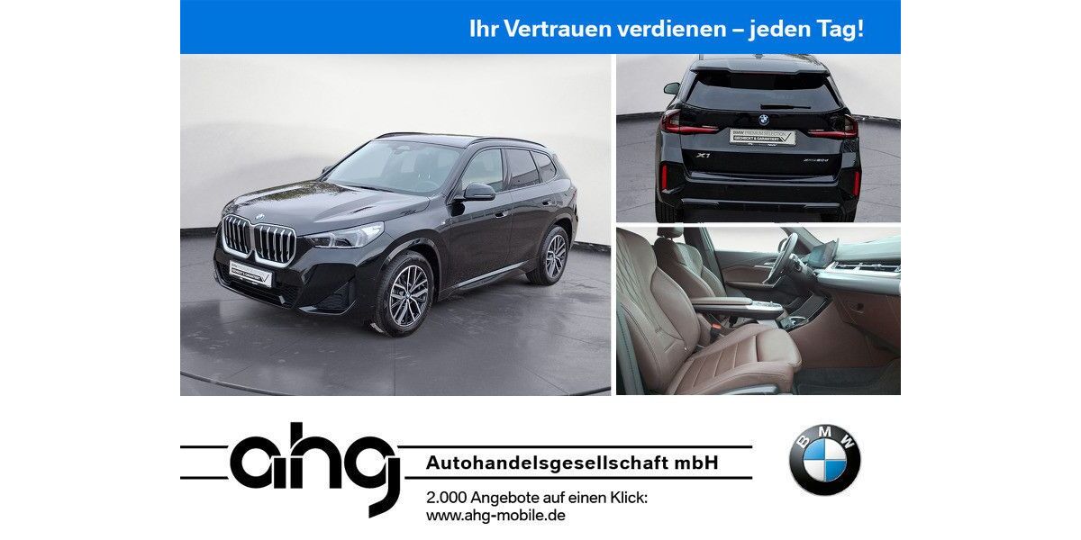 BMW X1 20.130 km 42.920 &euro; Offenburg 77656
