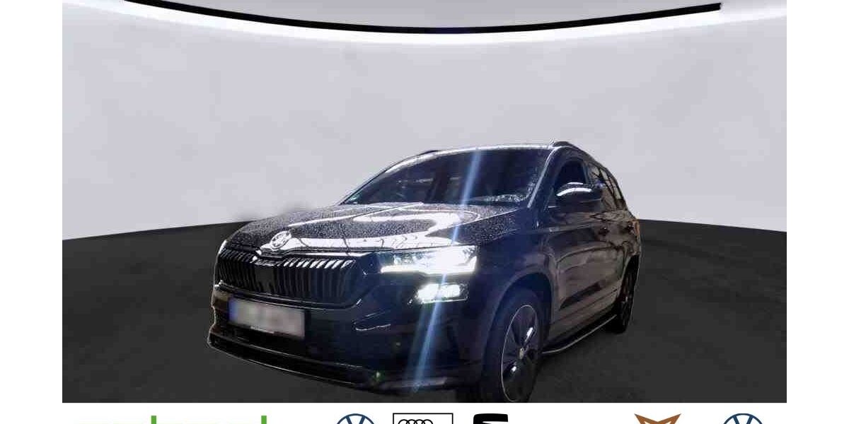 Skoda Karoq 95.184 km 27.979 &euro; Zell u.A. 73119