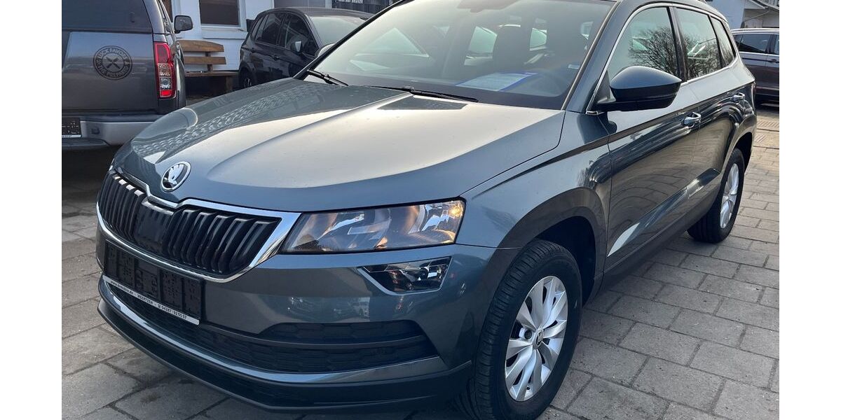 Skoda Karoq 124.564 km 14.985 &euro; Weertzen 27404