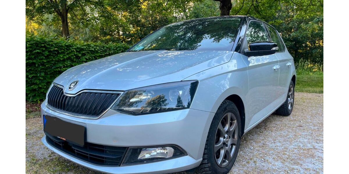 Skoda Fabia 125.000 km 8.800 &euro; Landau a.d.Isar 94405
