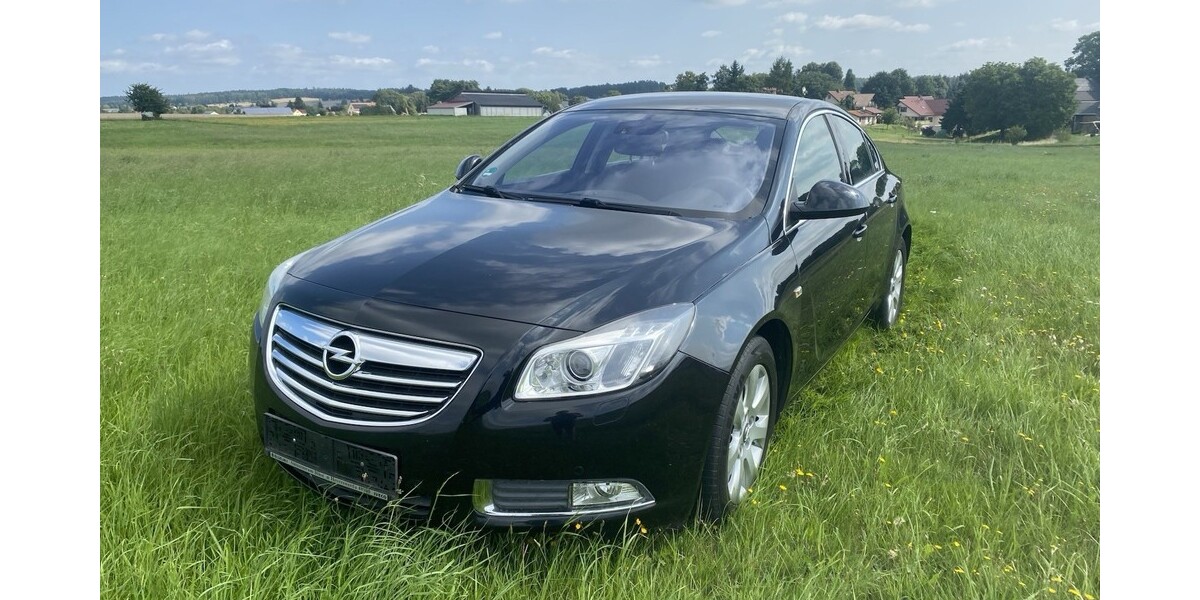Opel Insignia 114.000 km 6.200 € Lichtenberg 01896