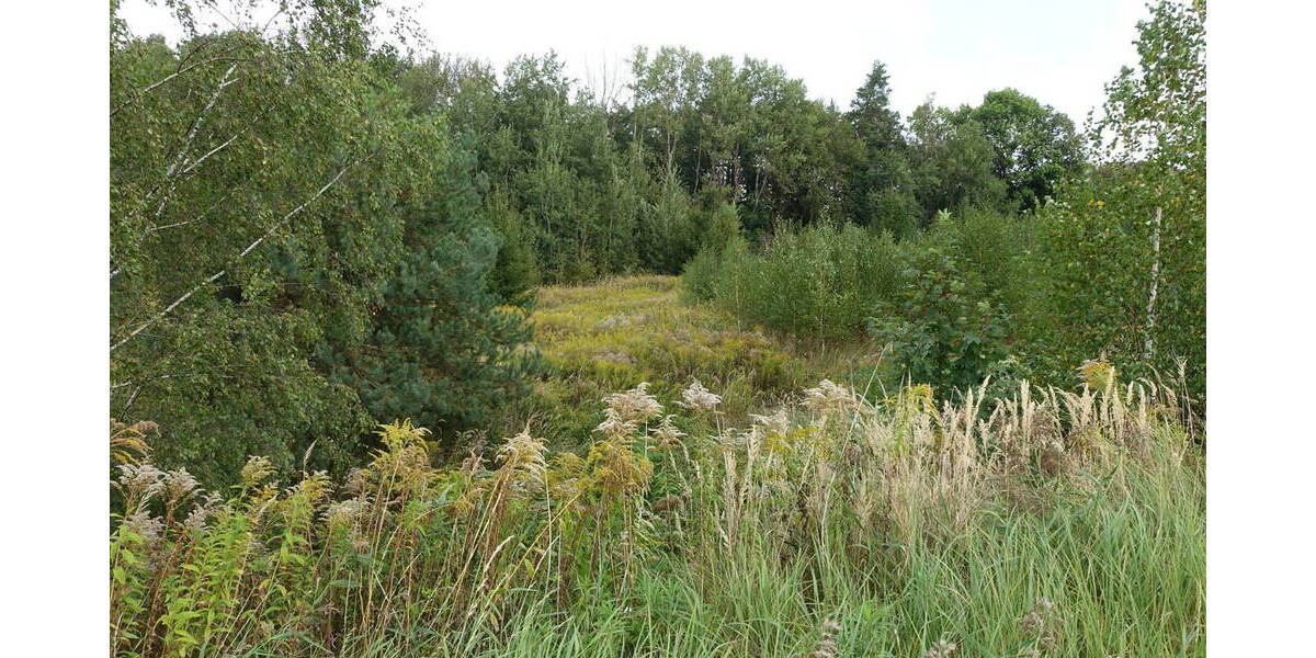 Gewerbeobjekt Großröhrsdorf - 549.000&euro; | Angebot:19301735