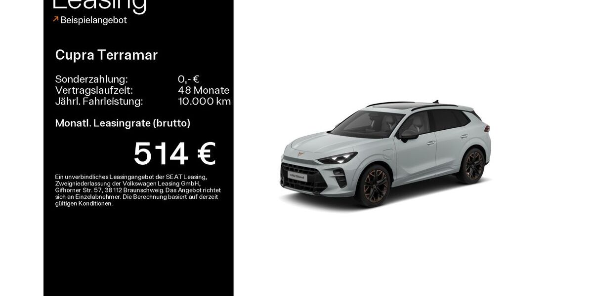 Cupra Terramar 3.500 km 46.990 &euro; Hofheim-Diedenbergen 65719
