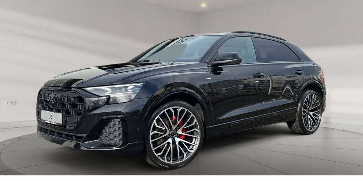 Audi Q8 3.000 km 113.479 &euro; Landau 76829