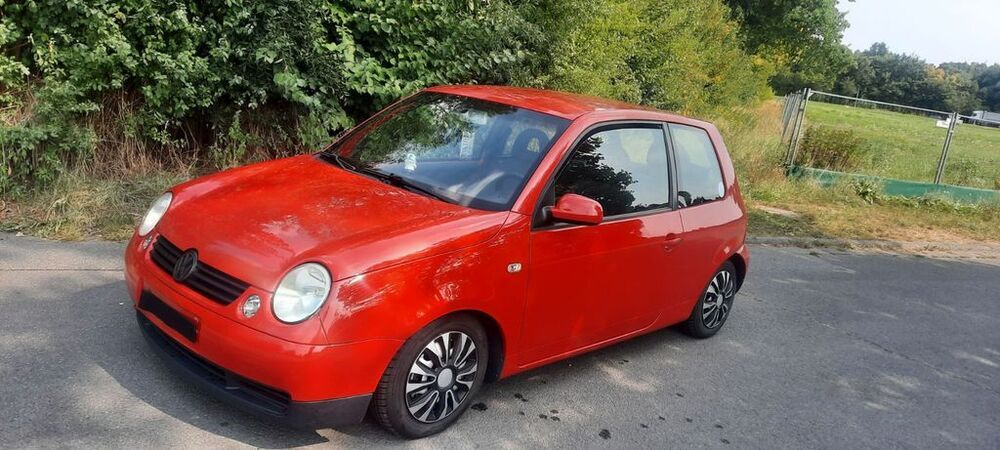 Lupo