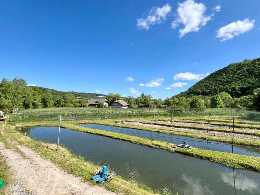Spezialgewerbe in Marsberg 450.000 €