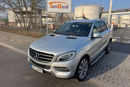 Mercedes ML 250